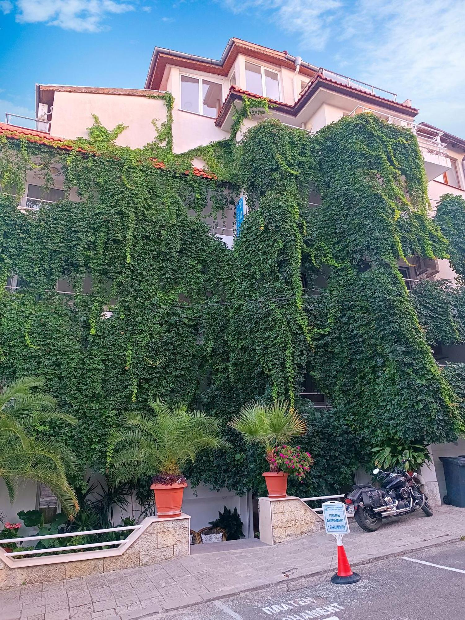 Family Hotel Sofi سوزوبول المظهر الخارجي الصورة